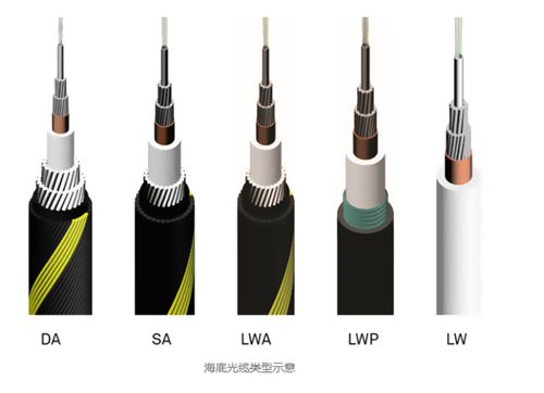 ���׹��|�����ж���Ҫ